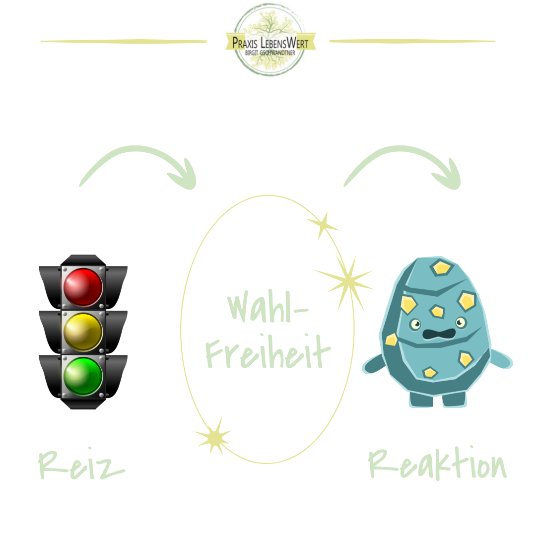 Zwischen Reiz und Reaktion